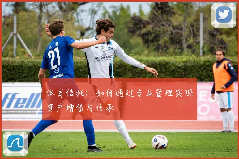 体育信托：如何通过专业管理实现资产增值与传承